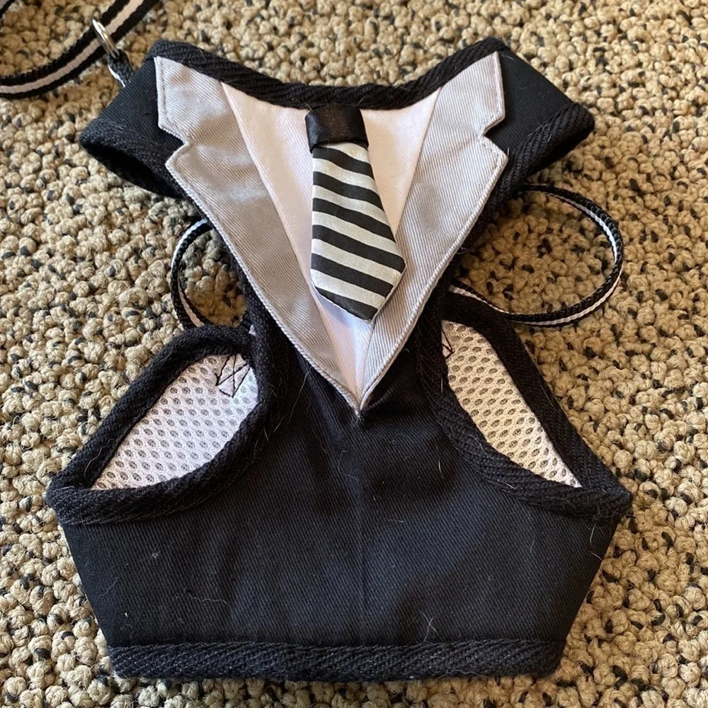 Tuxedo Dog Harness and Leash Size Small Worn Once in EUC